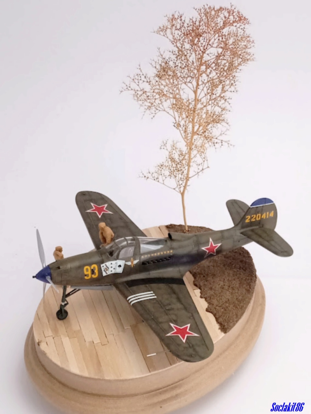 *1/48 - Bell P 39Q Airacobra - Eduard   - Page 4 4915