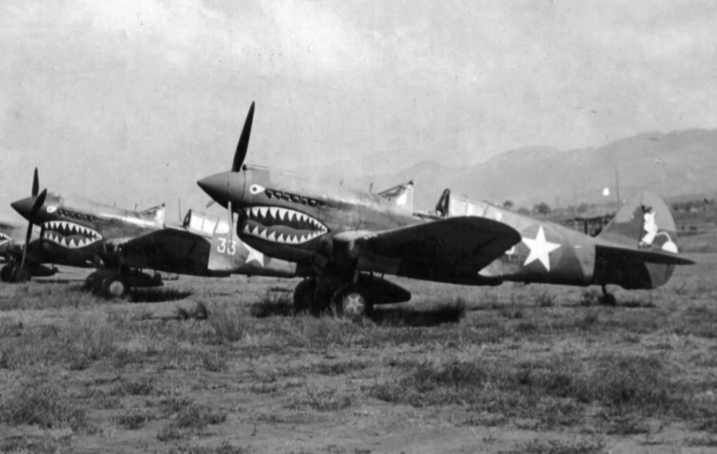 1/48 - Curtiss P-40E Warhawk - AMT/ERTL Curtis11