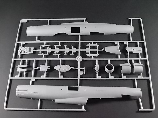 1/48 - MiG-21 UM Mongol B - Trumpeter Dscn1118
