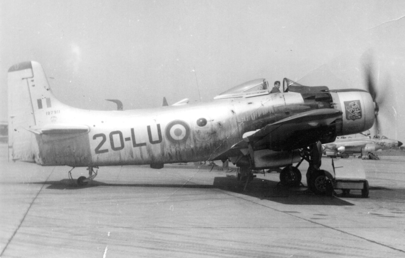 1/48 - AD-4 Skyraider - Tamiya - Page 2 Img03810