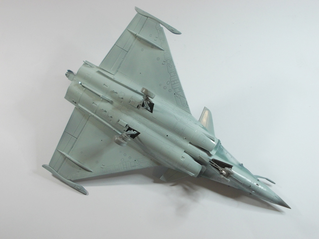 1/48 - AMD Rafale - Revell / Hobby Boss - Page 3 N_3110