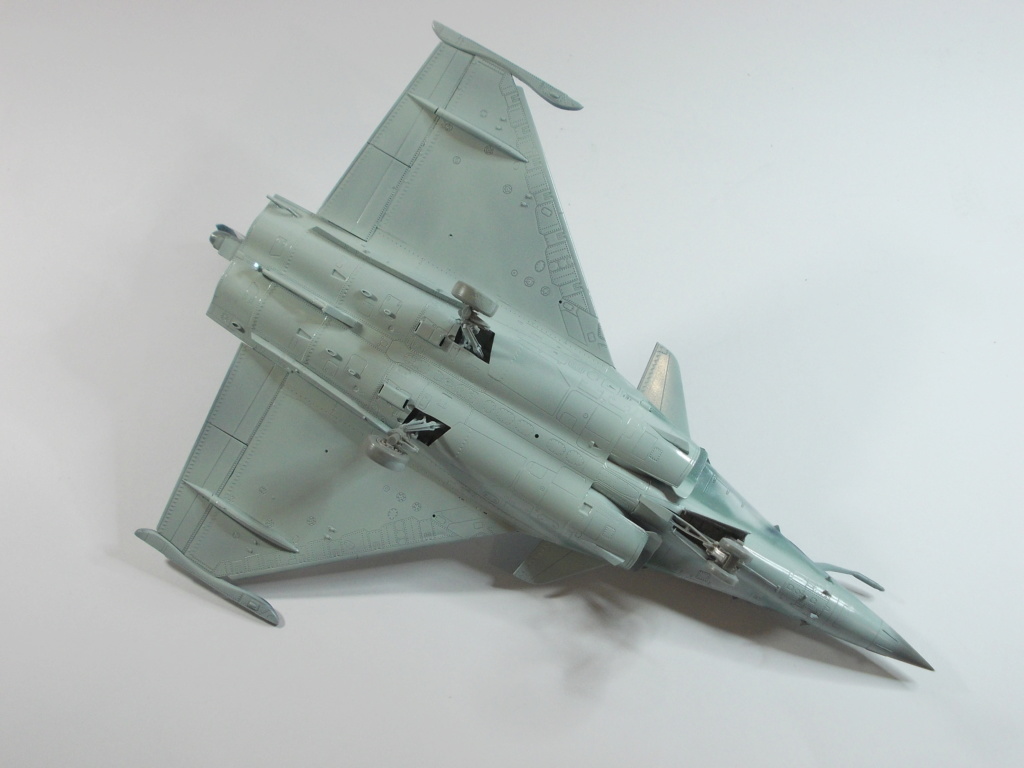  1/48 - AMD Rafale - Revell / Hobby Boss - Page 3 N_3110