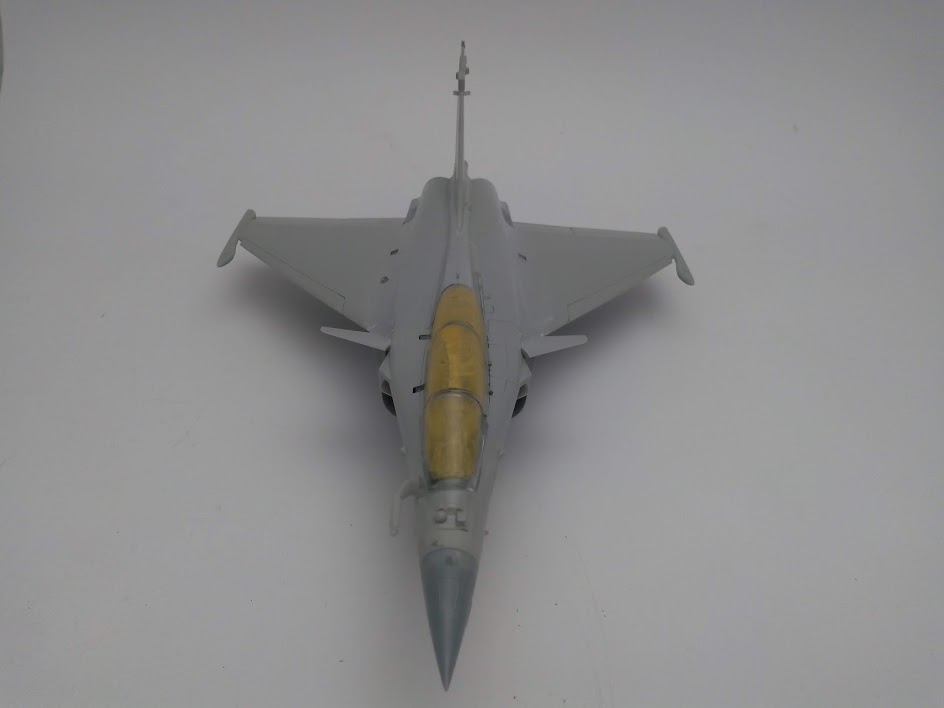 1/48 - What If d'un Rafale Marine Biplace  - Revell et Hobby Boss  N_4210