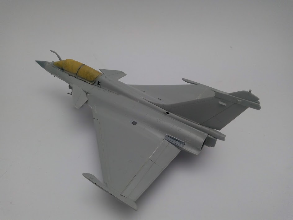 1/48 - What If d'un Rafale Marine Biplace  - Revell et Hobby Boss  N_4410