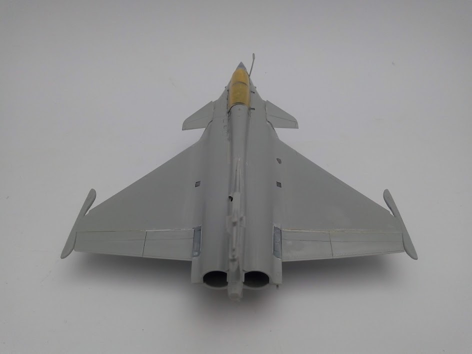 1/48 - What If d'un Rafale Marine Biplace  - Revell et Hobby Boss  N_4510