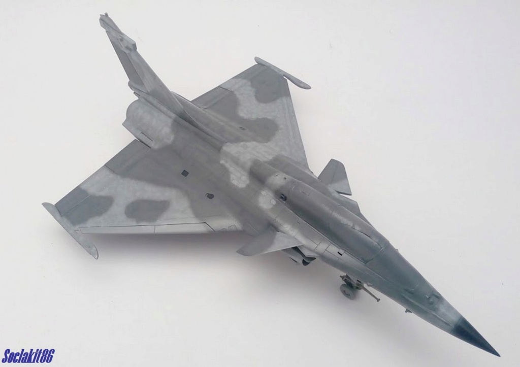 1/48 - What If d'un Rafale Marine Biplace  - Revell et Hobby Boss  N_5010