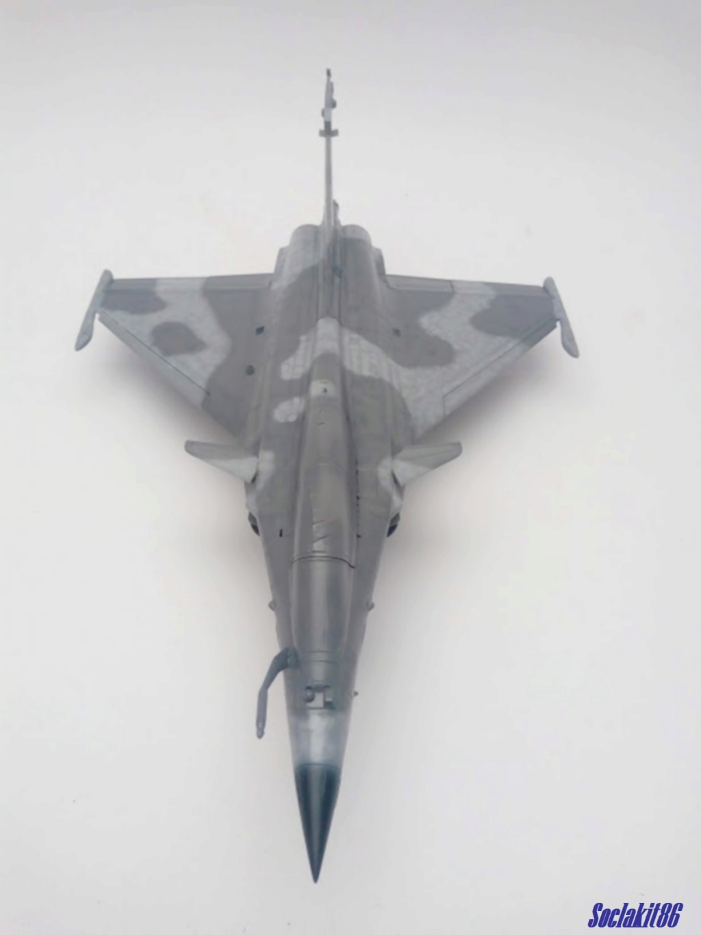 1/48 - What If d'un Rafale Marine Biplace  - Revell et Hobby Boss  N_5110