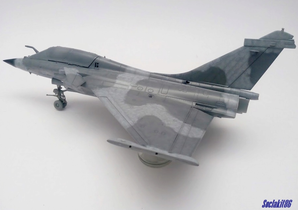 1/48 - What If d'un Rafale Marine Biplace  - Revell et Hobby Boss  N_5210