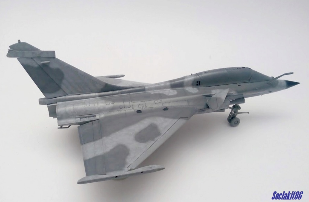 1/48 - What If d'un Rafale Marine Biplace  - Revell et Hobby Boss  N_5310