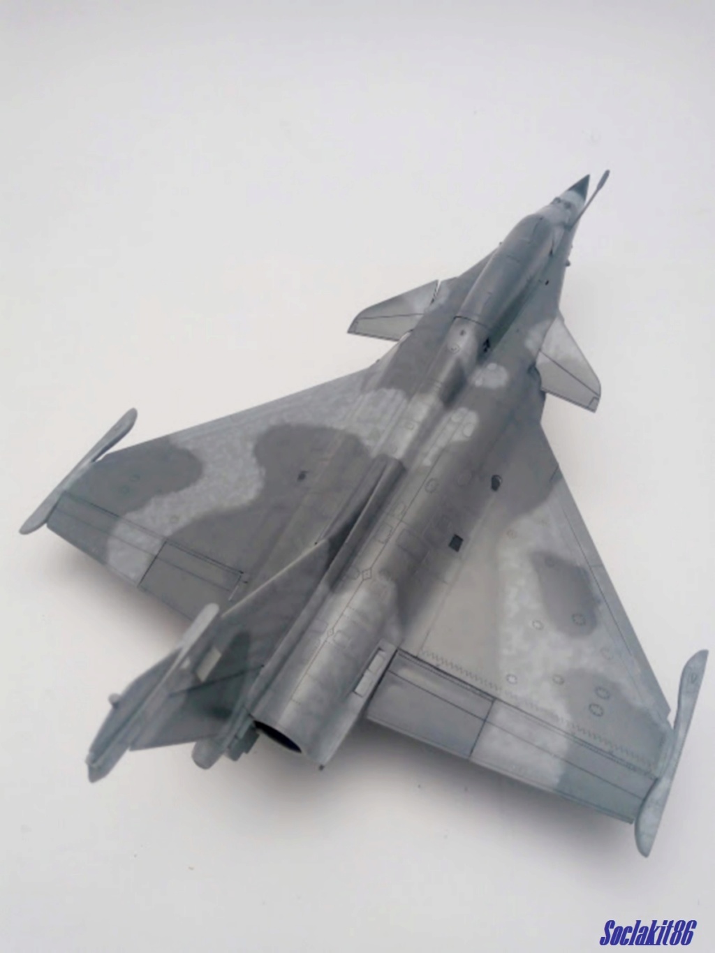 1/48 - What If d'un Rafale Marine Biplace  - Revell et Hobby Boss  N_5510