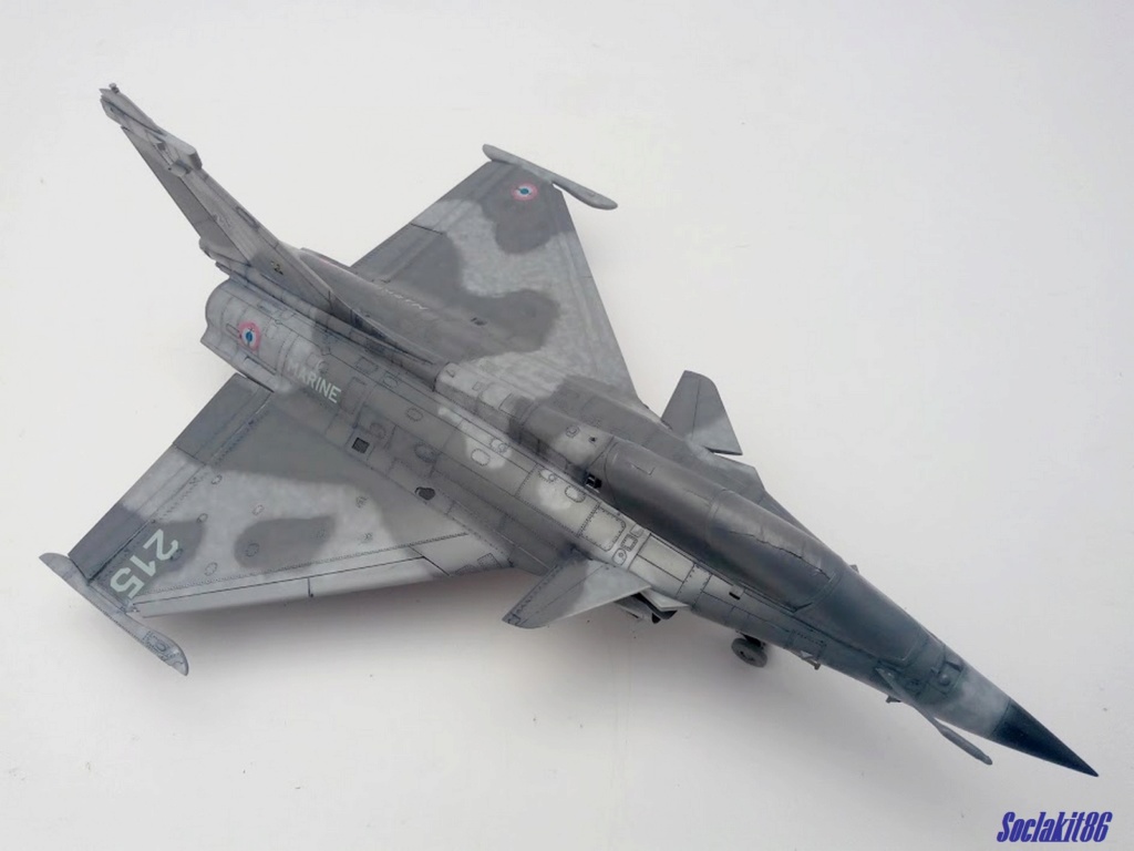 1/48 - What If d'un Rafale Marine Biplace  - Revell et Hobby Boss  N_6310
