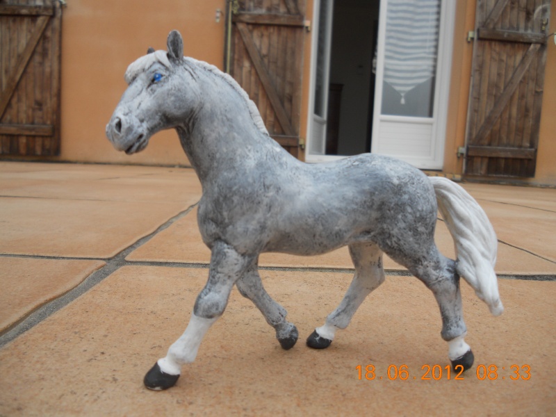 custom d'un cheval papo  Dscn0711