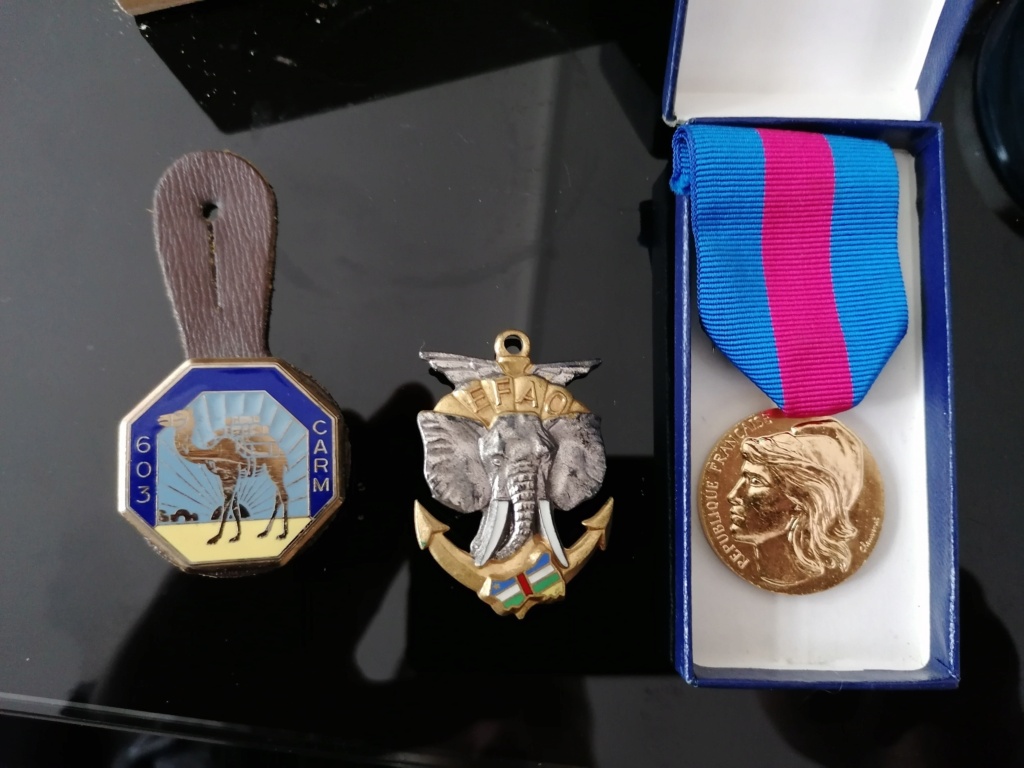 Insignes CARM / EFAO et médaille services militaires volontaires  Img_2775