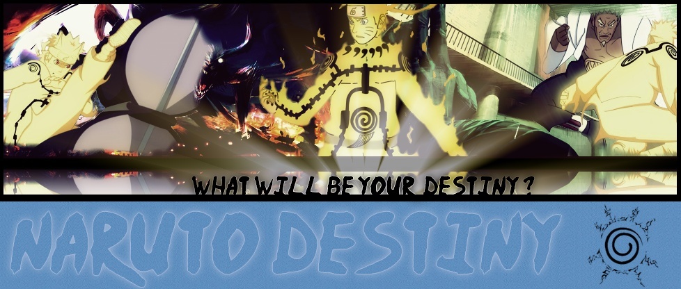 Naruto destiny