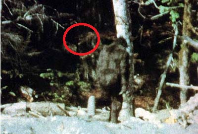 Gimlin's face found behind Patty in the PG Film? Frame711