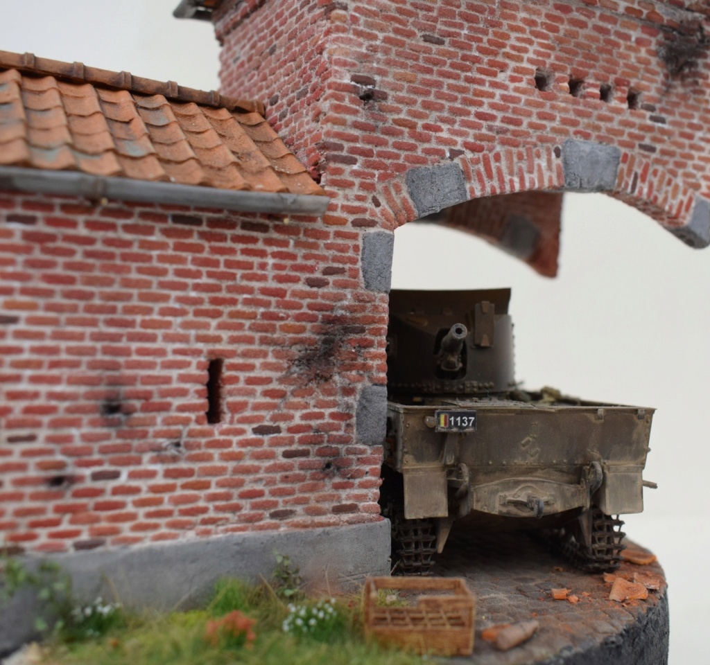 T13 Belgium war beast  T13_in13