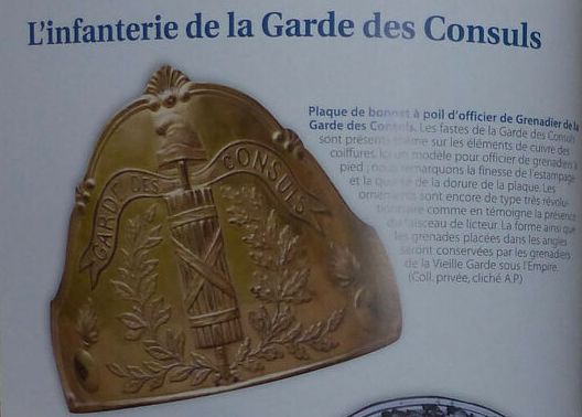 Quid des plaques de bonnets d'oursin des Grenadiers de la Garde des Consuls Type_310