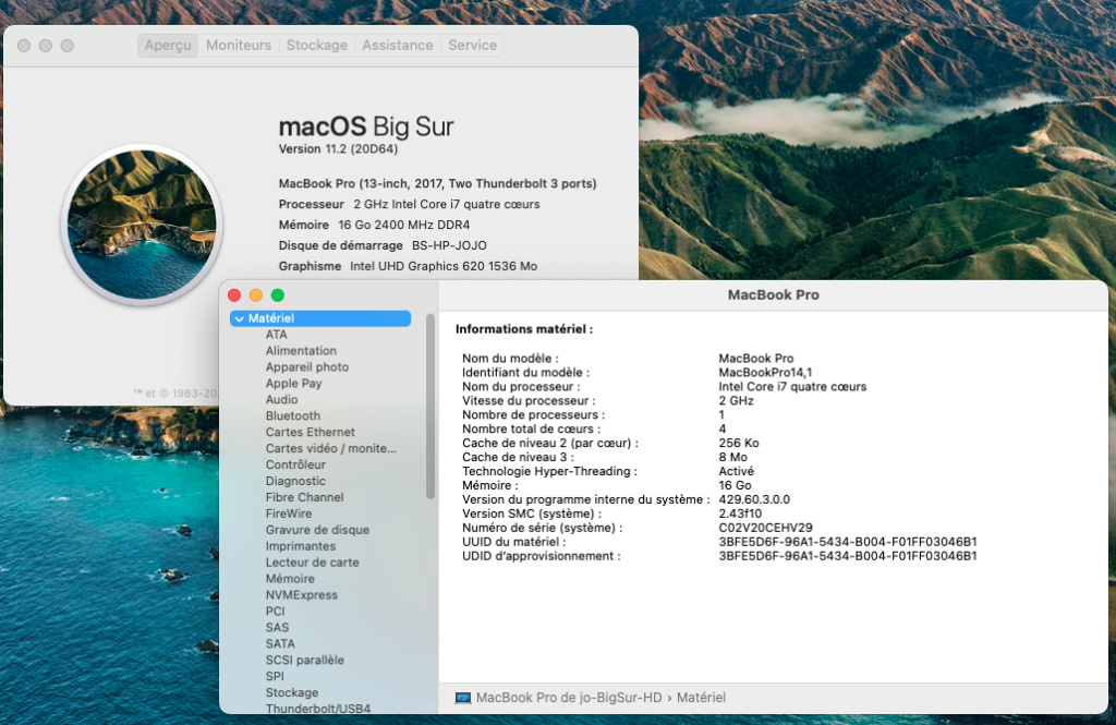 Mise a jour macOS Big Sur 11.2 (20D64) Captu174