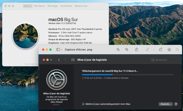 macOS Big Sur 11 / 11.1 / 11.2 / 11.3 / 11.4 / 11.5./ 11.6 /(Beta) - Page 16 Captu181