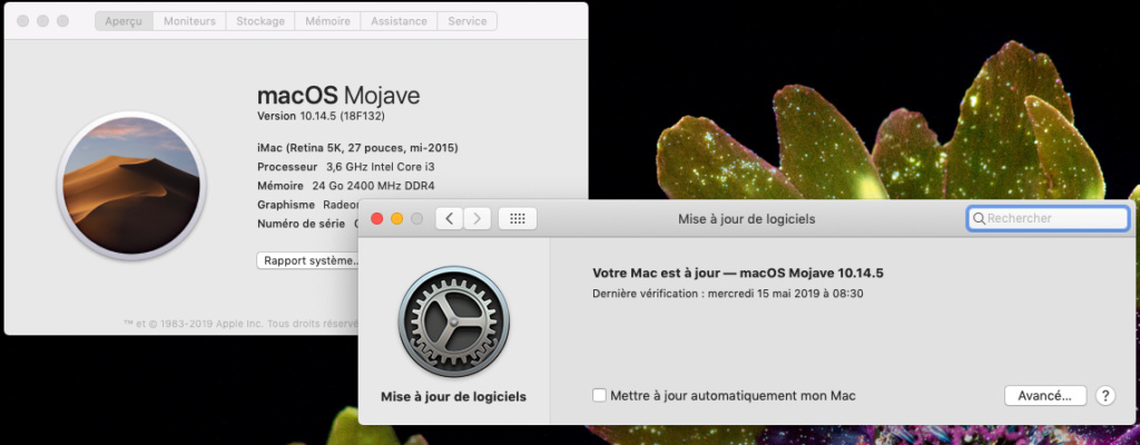 macOS Mojave 10.14.5 Finale version  (18F132 ) Captur46