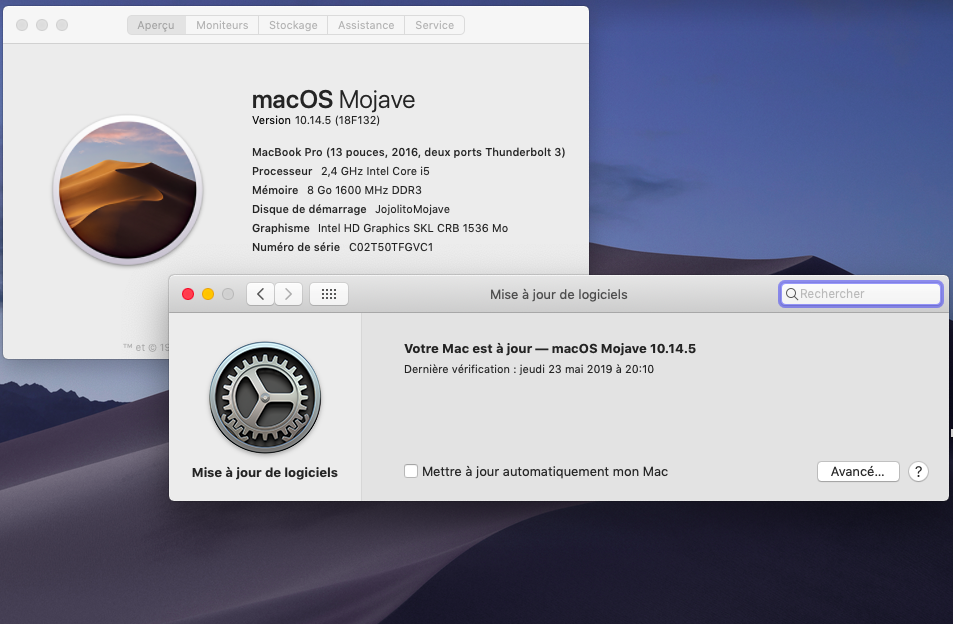 macOS Mojave 10.14.5 Finale version  (18F132 ) Mise_z10