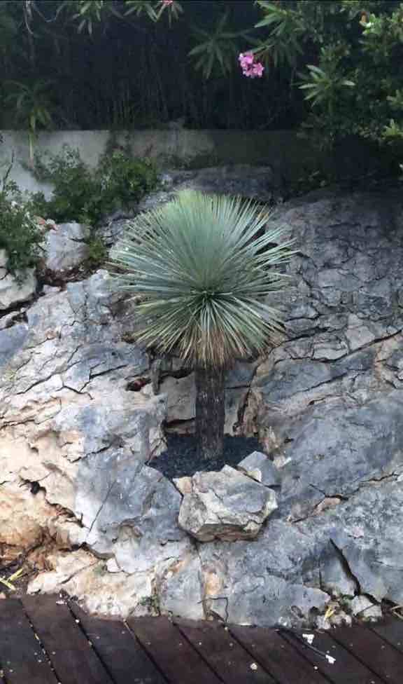 Ch’timi dans le sud depuis 10 ans. 34a56c10