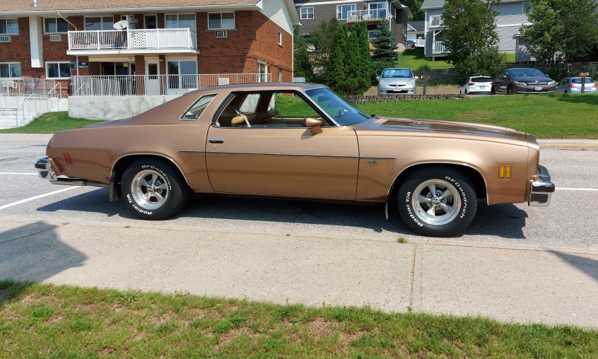 New Members and Old farts like Me Malibu12