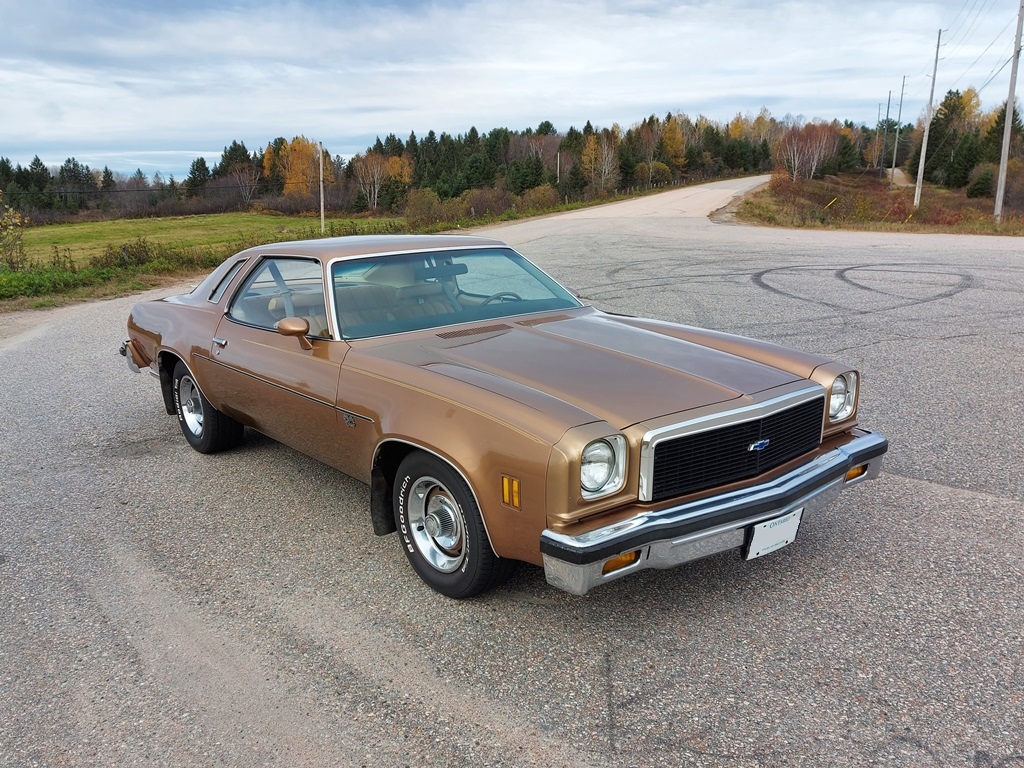 1976 Malibu Classic - Long time Family Car Malibu13