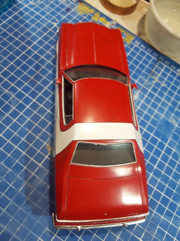 Ford grand Torino 1976 Zebra 3 revell 1/25 20191114