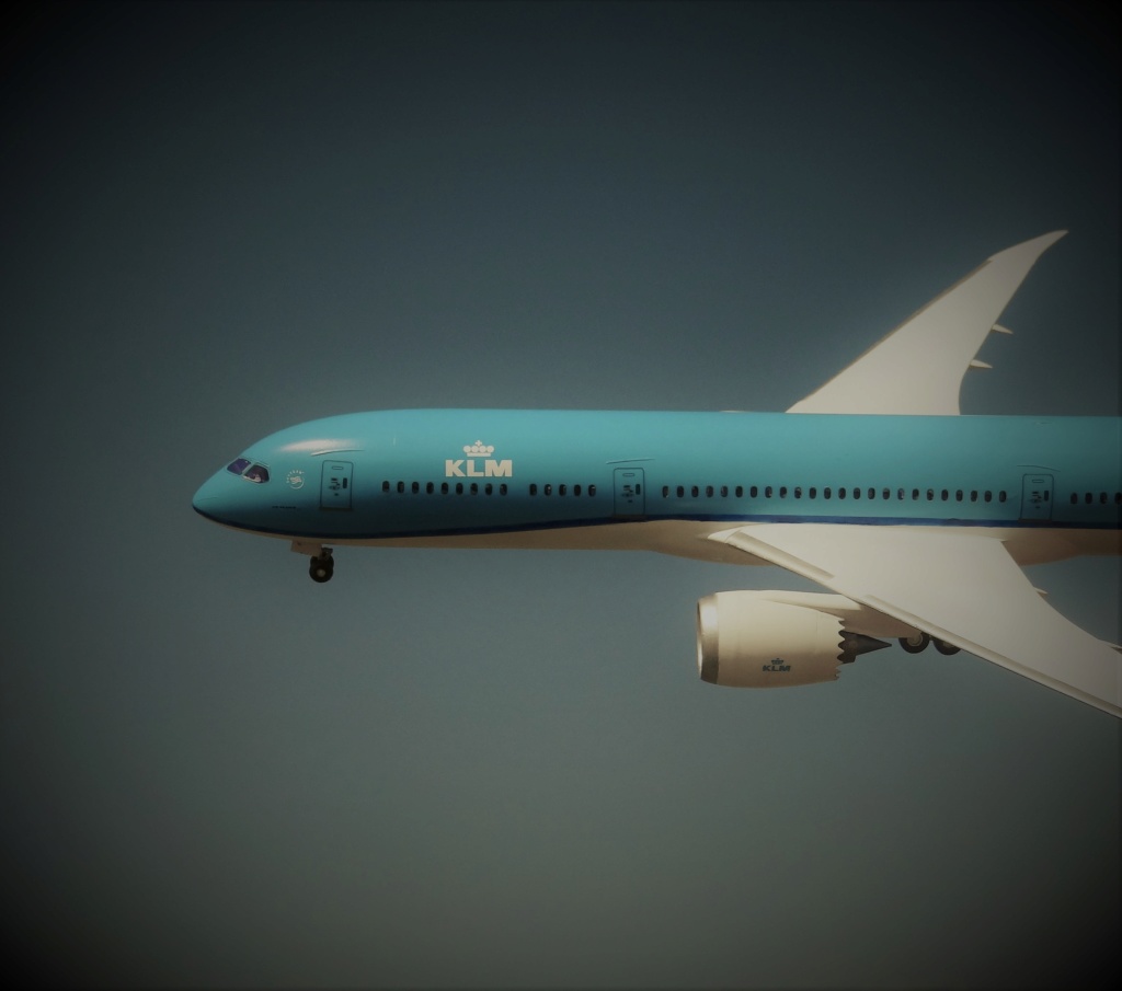 BOEING 787-9 KLM Zvezda  1/144  Dsc07815