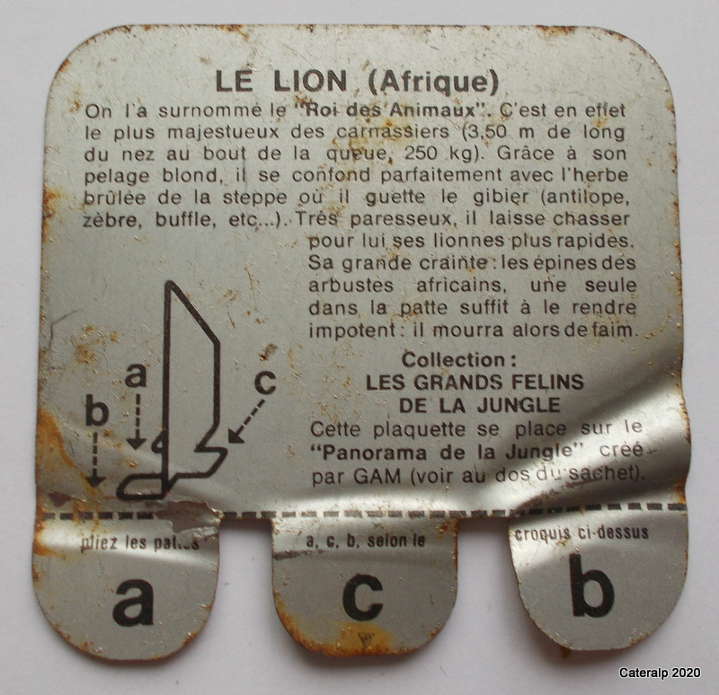 Le jardin pas secret du collectionneur - Page 22 Alsaci29