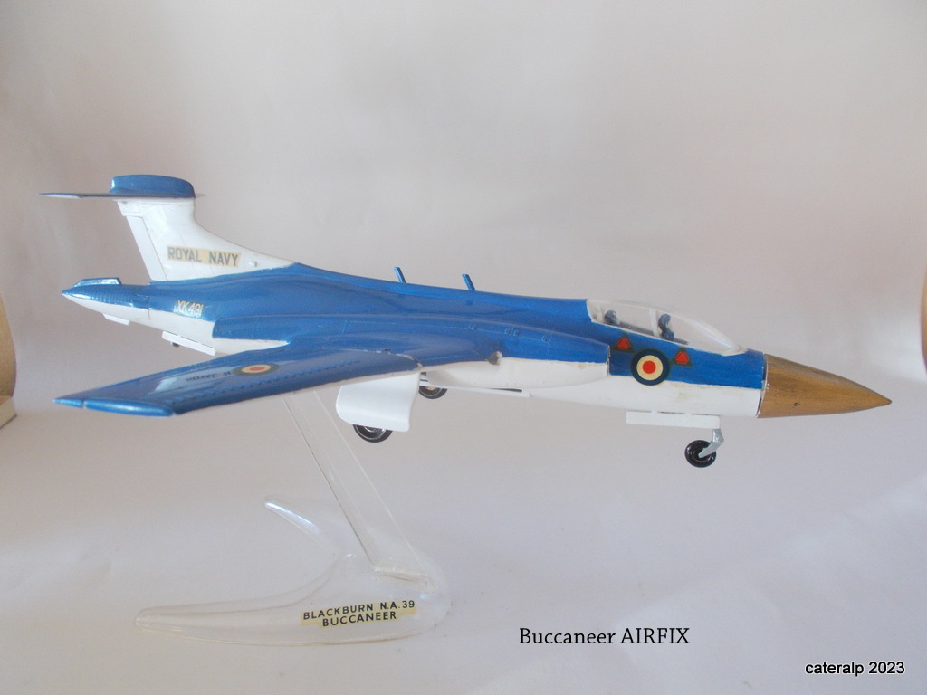 Le jardin pas secret du collectionneur - Page 11 Avions14