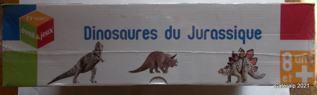 Dinosaures du Jurassique ... Dinosa30