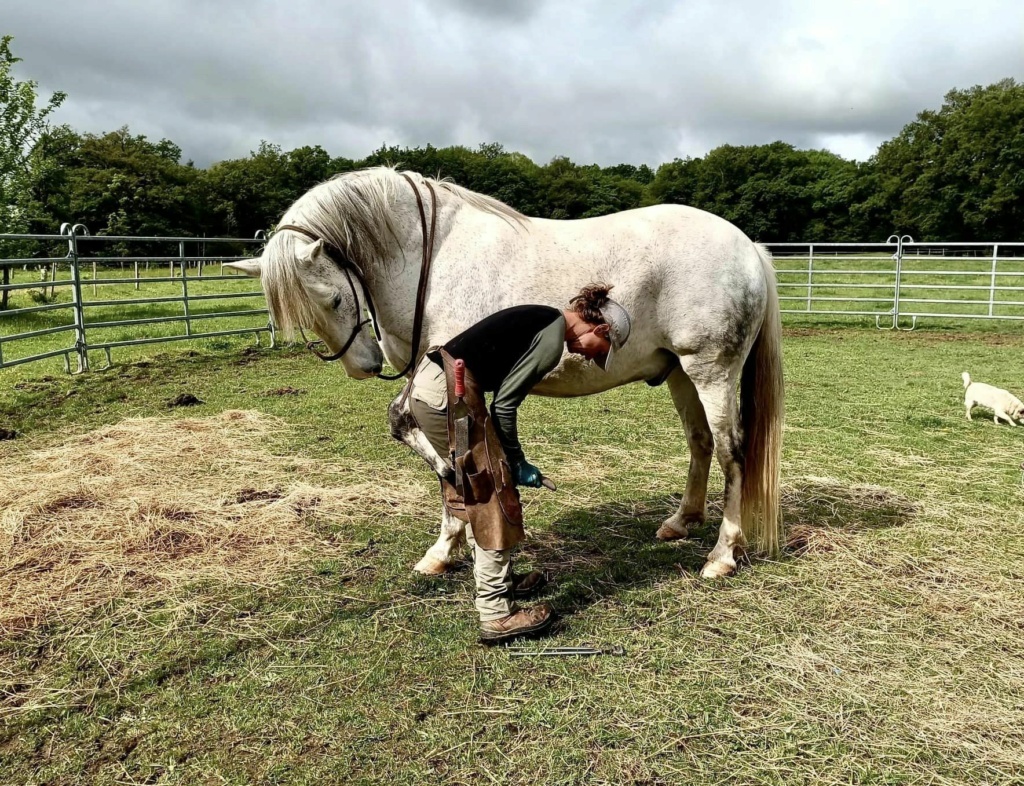 (Dept 15) Lucky (ex Beny), SF x Apaloosa et Camille (Oléron) (Déc 2011) - Page 13 34915310