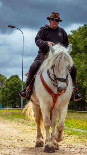 (Dépt 63) ALSA de la Barre, Ardennais x Percheron, sauvée par Marc (Septembre 2012) - Page 18 45697110