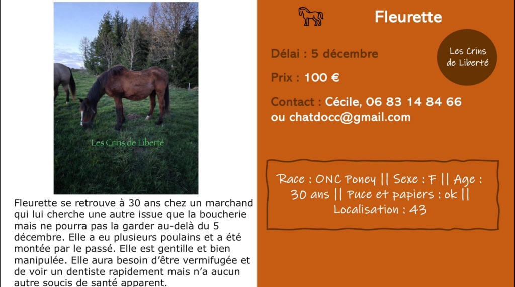 (Dept 43) 30 ans - FLEURETTE - ONC poney - jument - Délai URGENT 05/12 - Cf Cécile 46815310