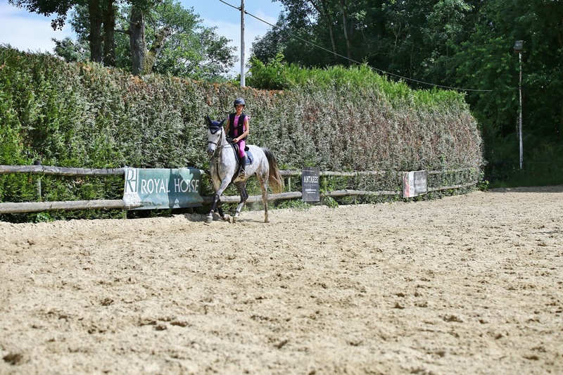 Dpt 77, 9 ans, Udine, jument DSA, sauvée par Camille (Mars 2017) Cours_12