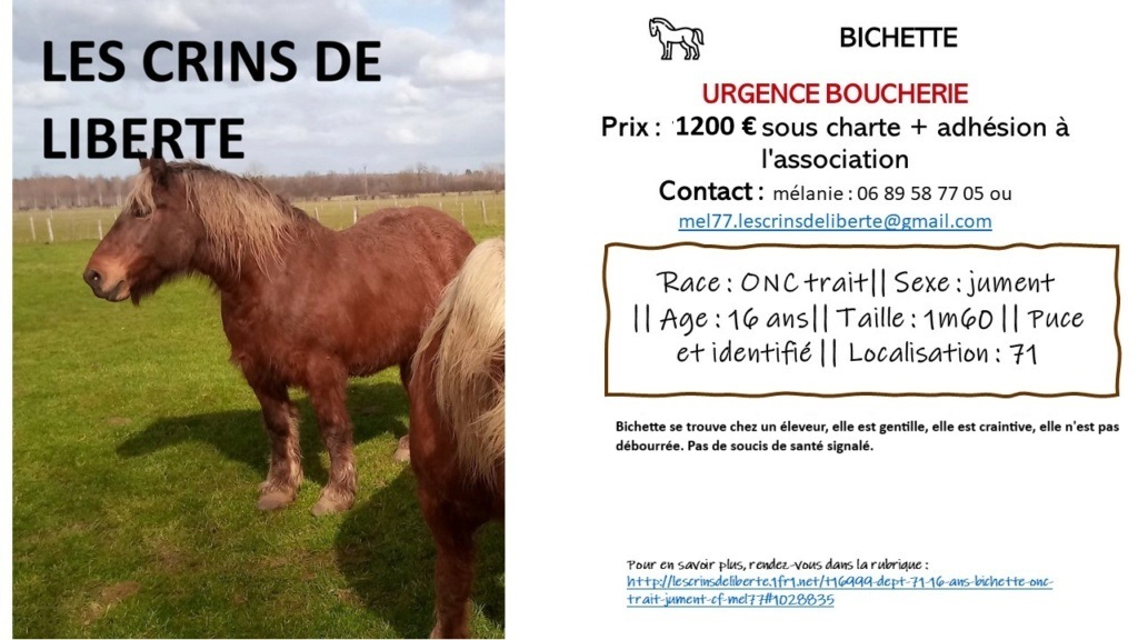 (Dept 71) 16 ans - BICHETTE - ONC Trait - Jument - URGENT - Cf mel77 Fiche142