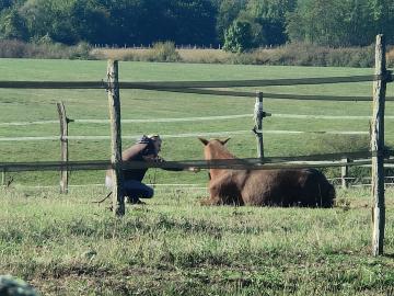 (Dept 71) 7 ans - PANTXIKA et Sophie - poneys - KARAMEL - adopté par la famille B. (2021) - Page 2 Image046