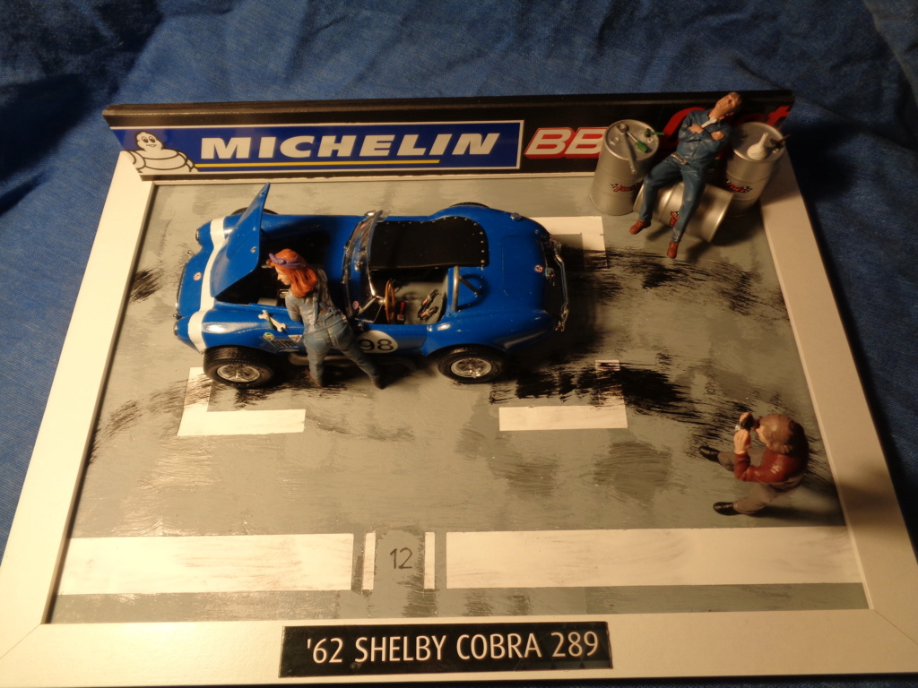 62er Shelby Cobra 289 von Revell 1:25, gebaut von Maat Tom Dsc06796