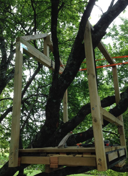 Cabane dans les arbres Cabane17