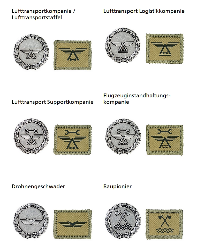 Ranks, badges, patches, epaulets of the Swiss Armed Forces 0610