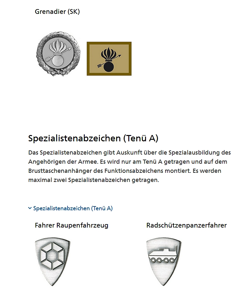 Ranks, badges, patches, epaulets of the Swiss Armed Forces 1510