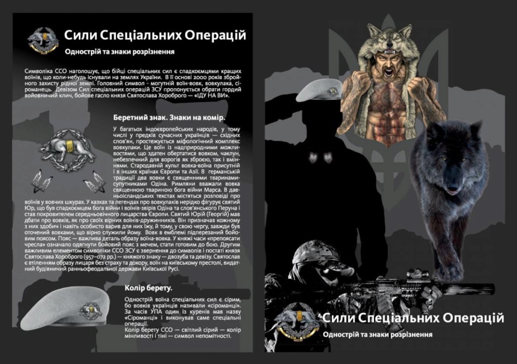 Modern Ukrainian uniform in photographs - Page 7 17504410