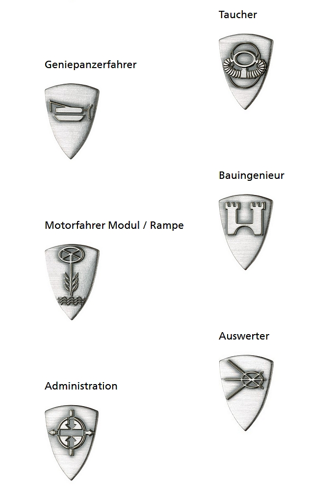 Ranks, badges, patches, epaulets of the Swiss Armed Forces 2012