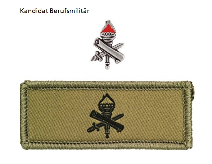 Ranks, badges, patches, epaulets of the Swiss Armed Forces - Page 2 3810