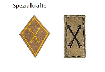 Ranks, badges, patches, epaulets of the Swiss Armed Forces - Page 2 4810