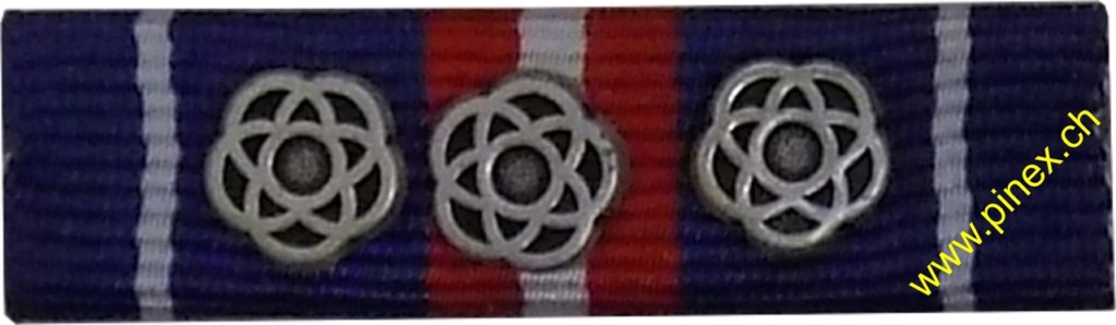 Ranks, badges, patches, epaulets of the Swiss Armed Forces - Page 8 Auszei16