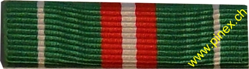 Ranks, badges, patches, epaulets of the Swiss Armed Forces - Page 8 Auszei19
