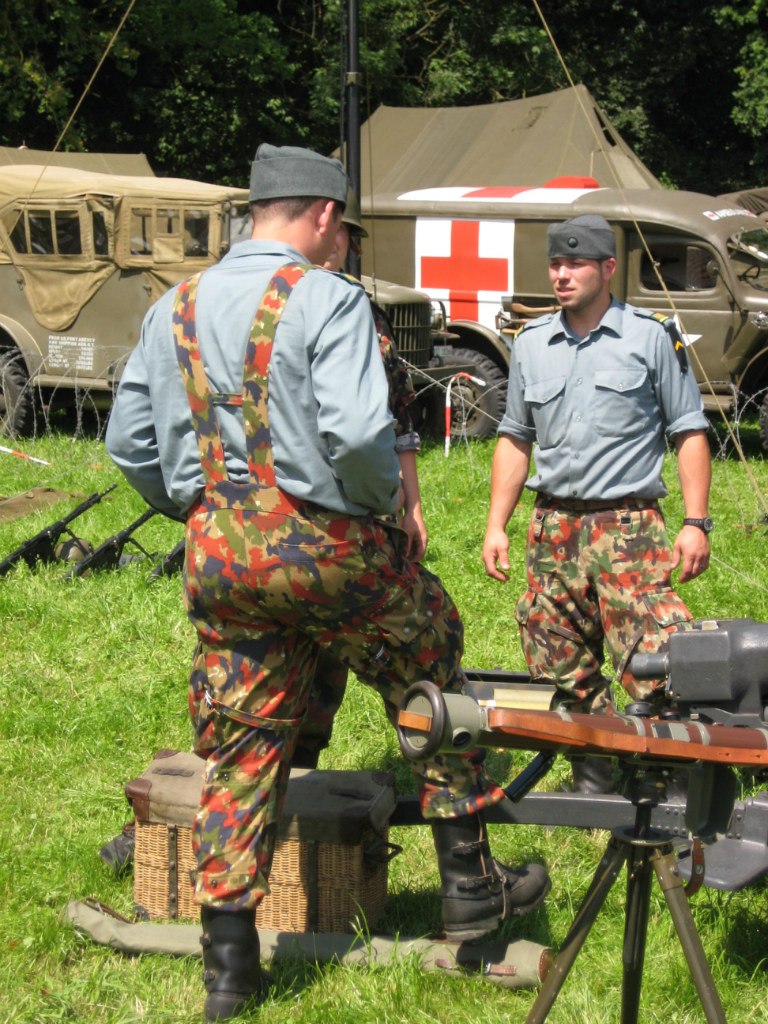 Ranks, badges, patches, epaulets of the Swiss Armed Forces - Page 13 Dbvgx011